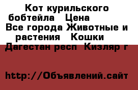 Кот курильского бобтейла › Цена ­ 5 000 - Все города Животные и растения » Кошки   . Дагестан респ.,Кизляр г.
